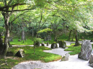 Ejemplo de paisaje natural modificado.